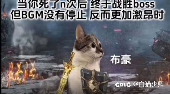 哈哈哈，看到这个怎么两条血的帖子想起一张图2