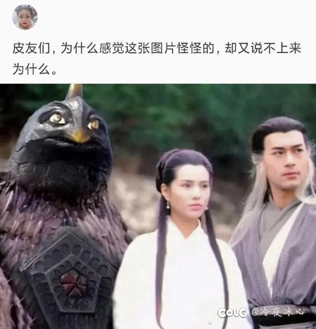 不是我不努力，是我真不出东西啊3