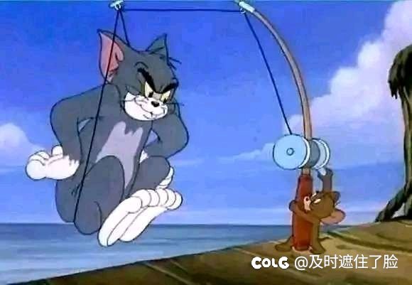 装扮栏最多是多少格？装扮按部位还是按套装放1