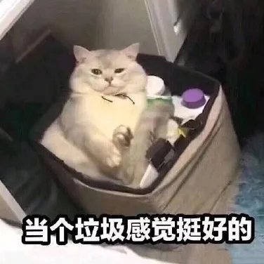问一下，现在奶带什么武器比较好2