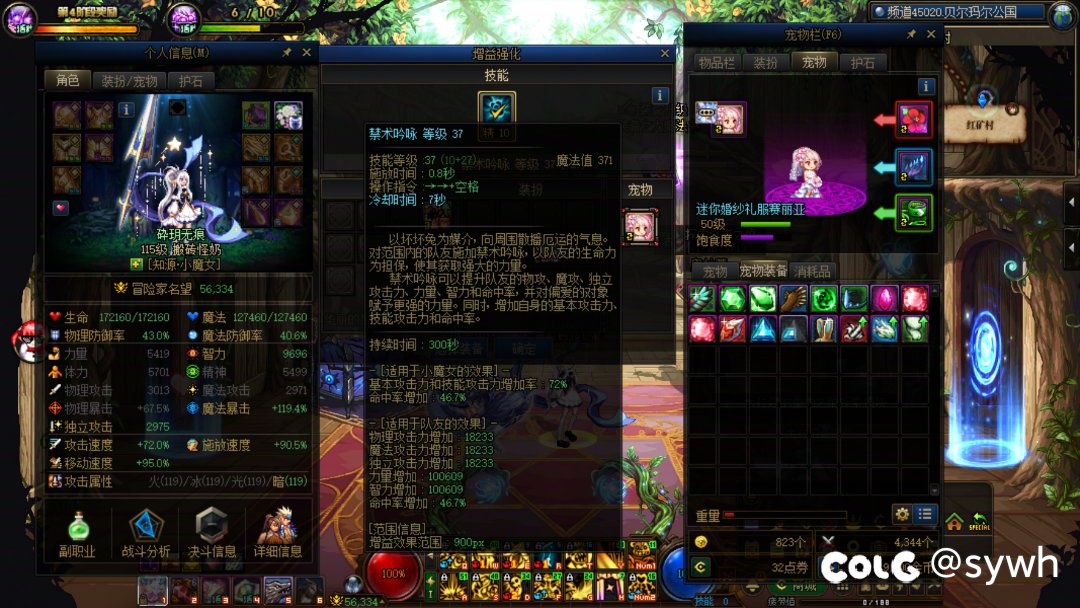 传播一下宠物装备登记BUG1
