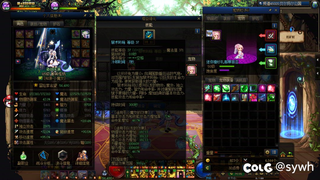 传播一下宠物装备登记BUG2