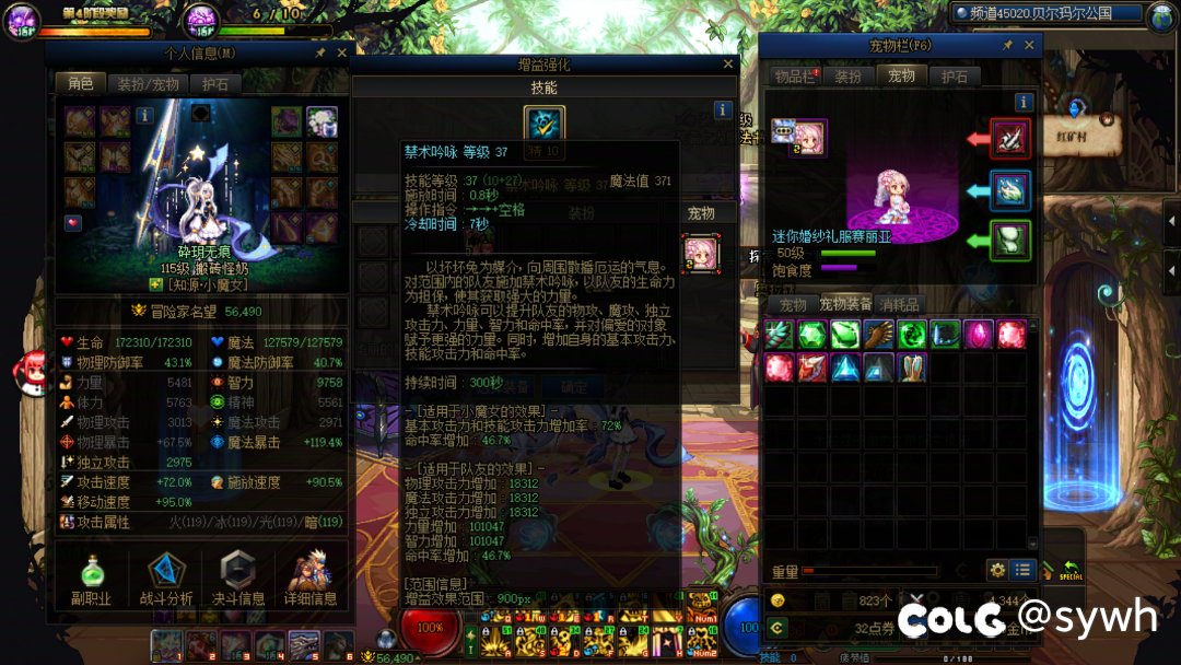 传播一下宠物装备登记BUG3