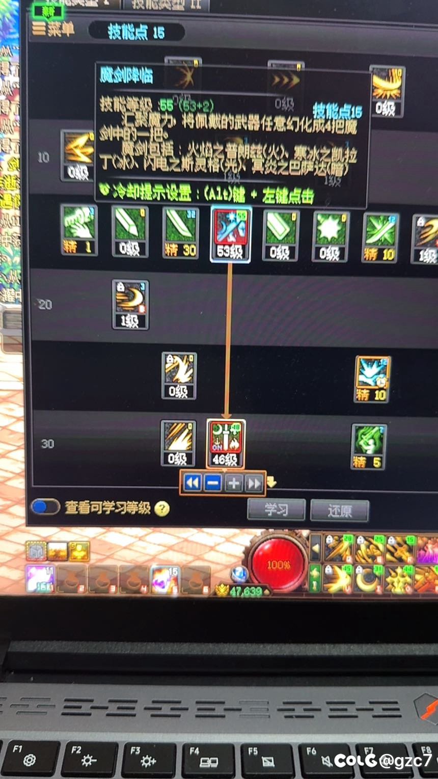 请教剑宗加点1