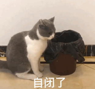 今天决定早退1
