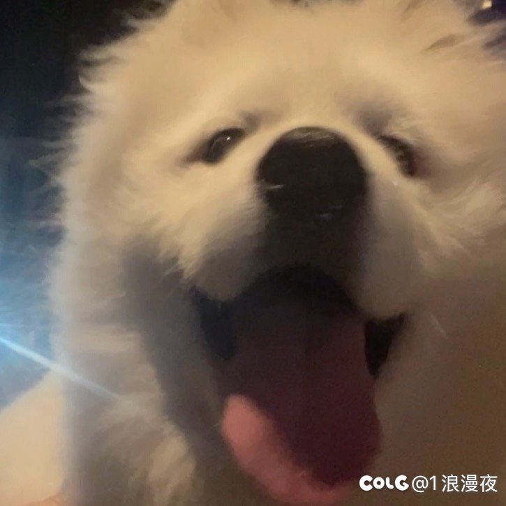 跨2想找个小团队一起玩1