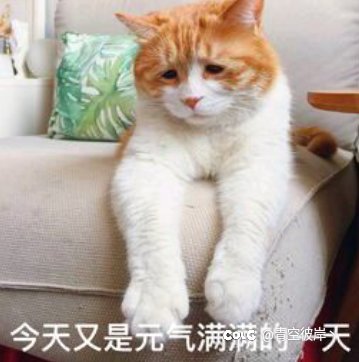 要不要买年套，看这里！！！1