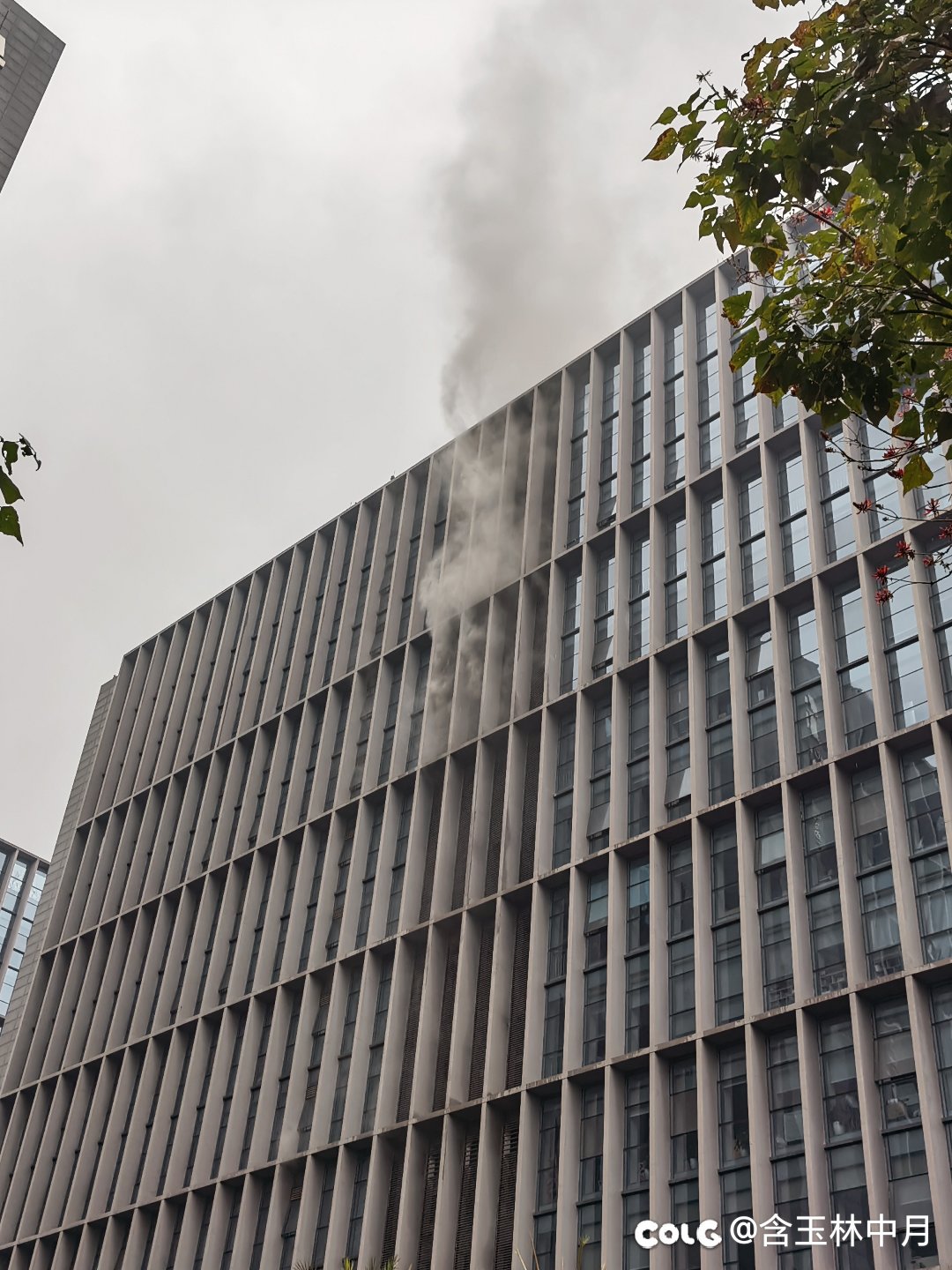 我的公司火了1