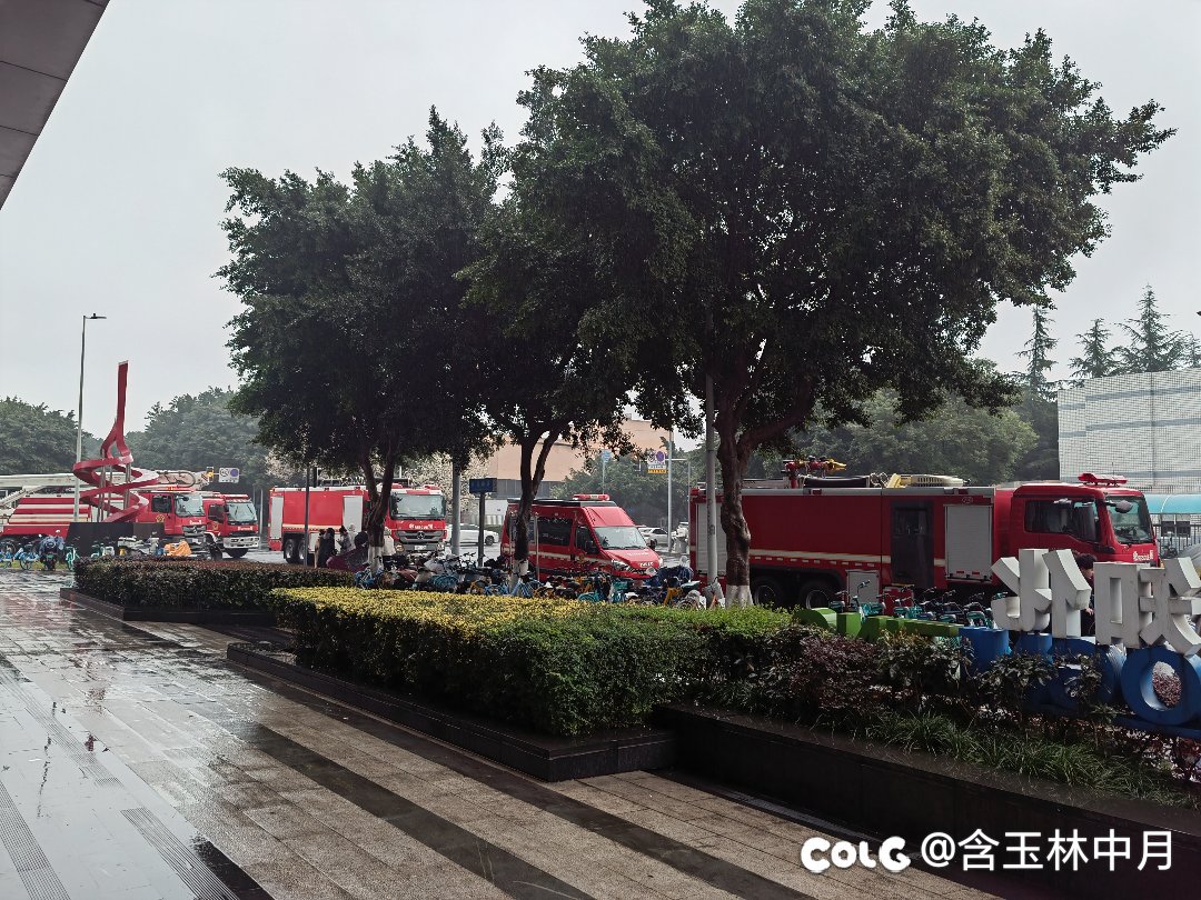 我的公司火了2