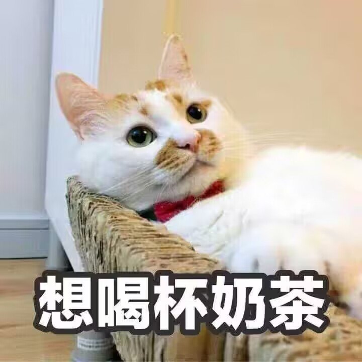周周更新 怎么卡冒险团这个bug还没修复的1