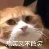 这版本的深渊就是垃圾1
