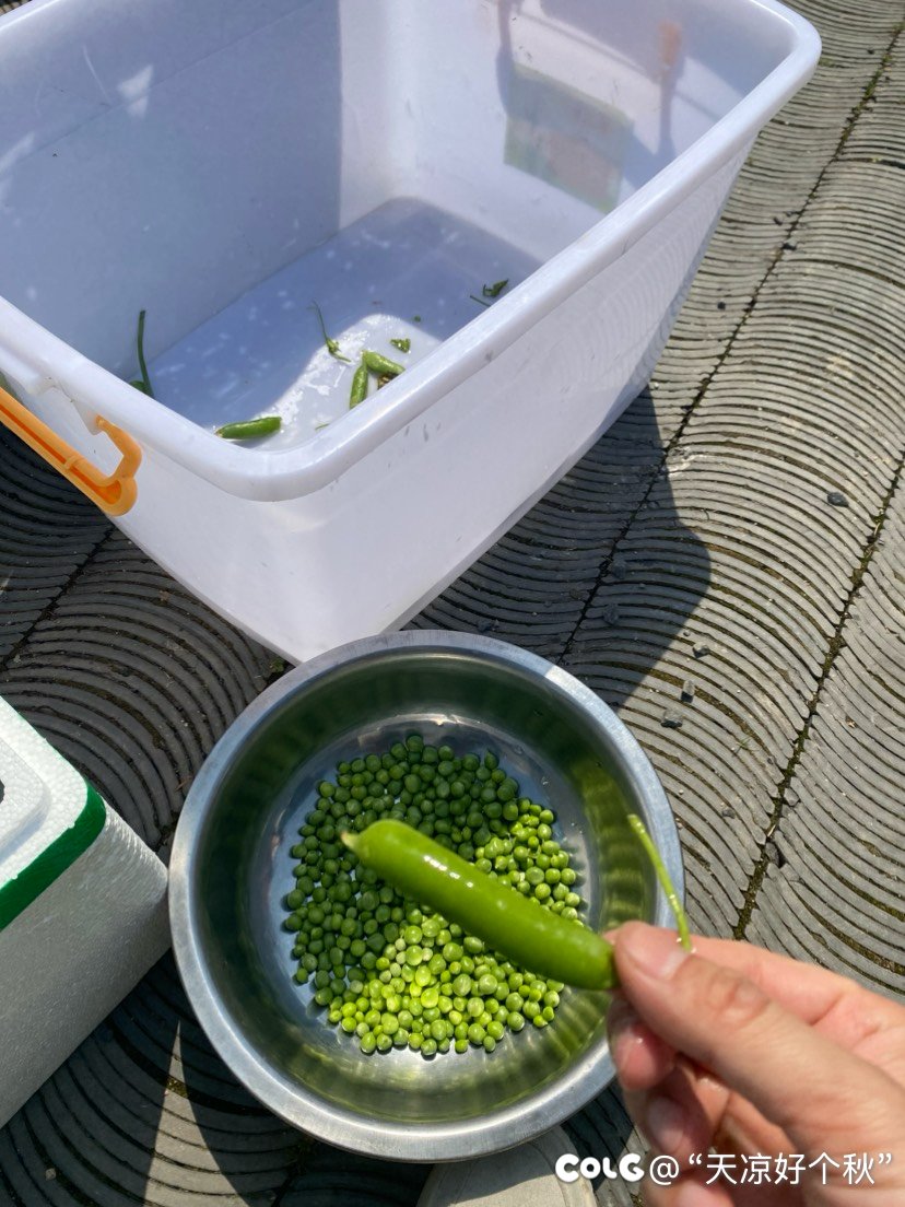 干女儿的庆生局3