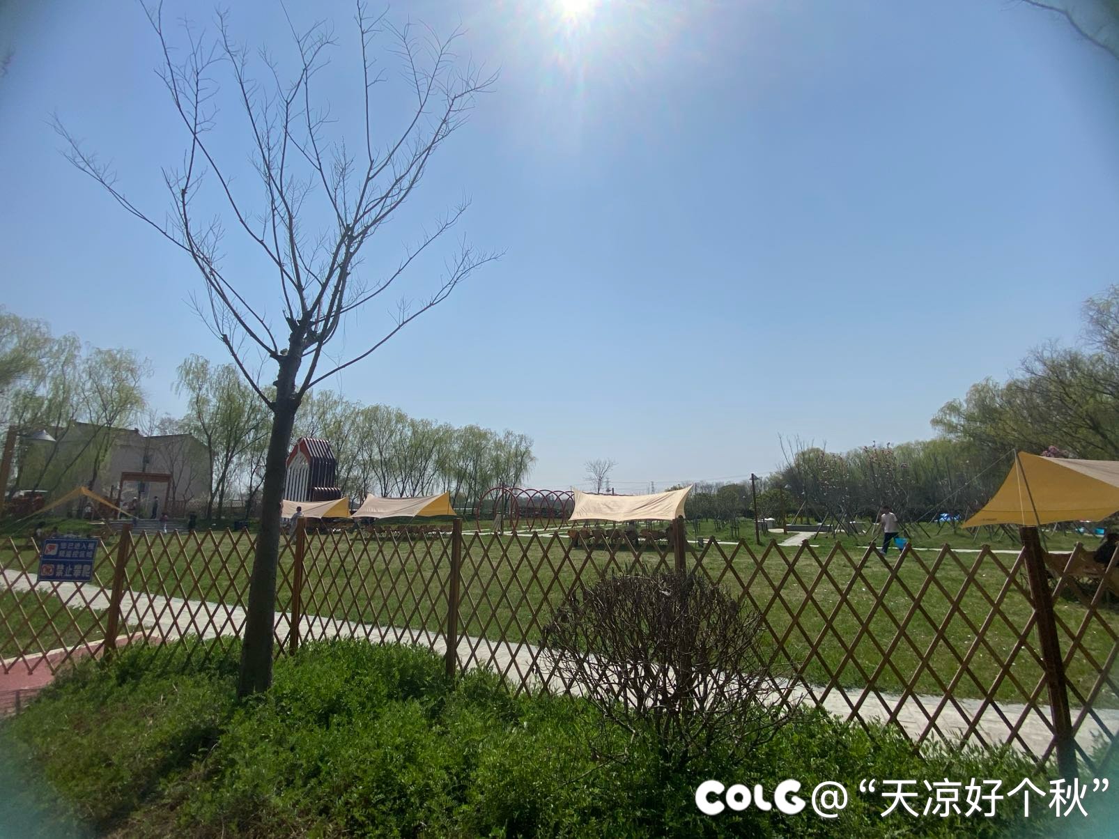 干女儿的庆生局8