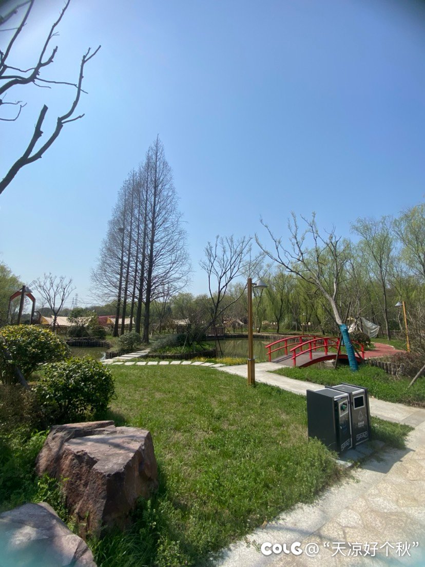 干女儿的庆生局9