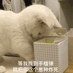 买神器灵魂真是折磨啊1