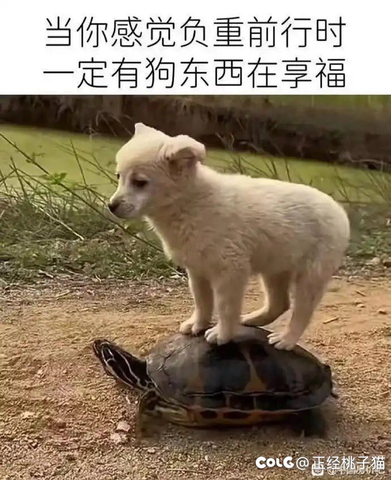 失败固然可怕，但是群友的成功更令人揪心😖1