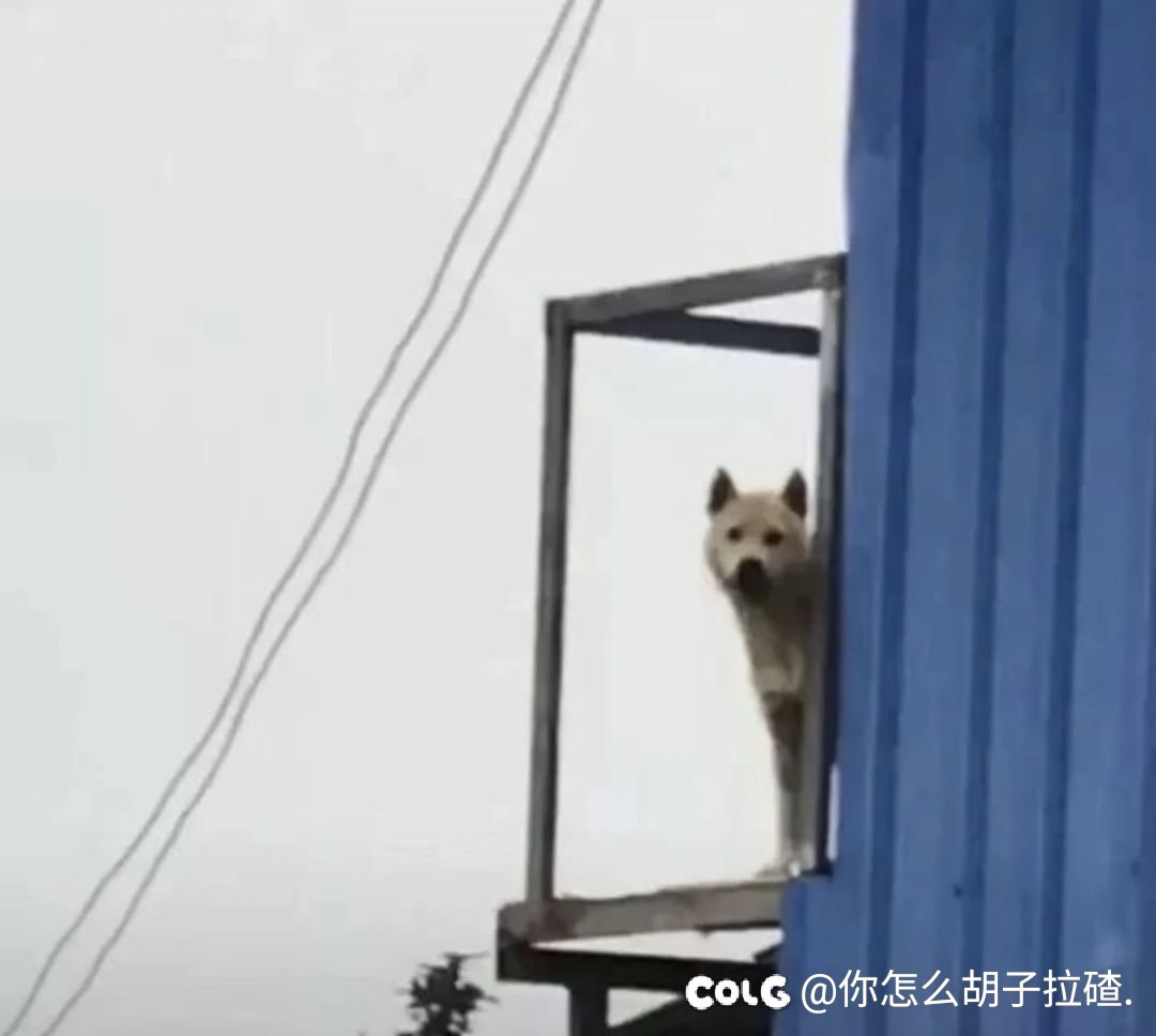招募1