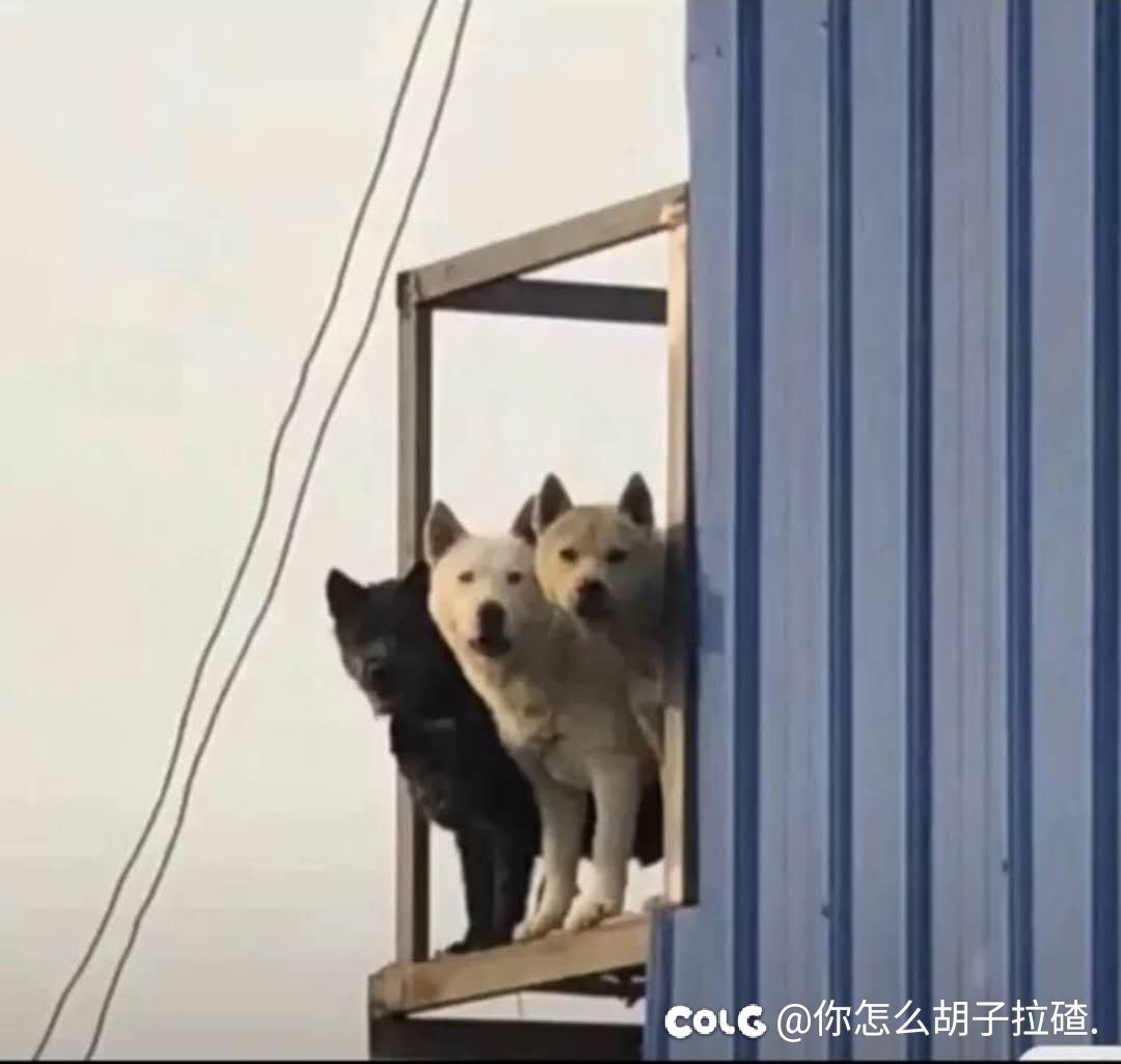 招募2