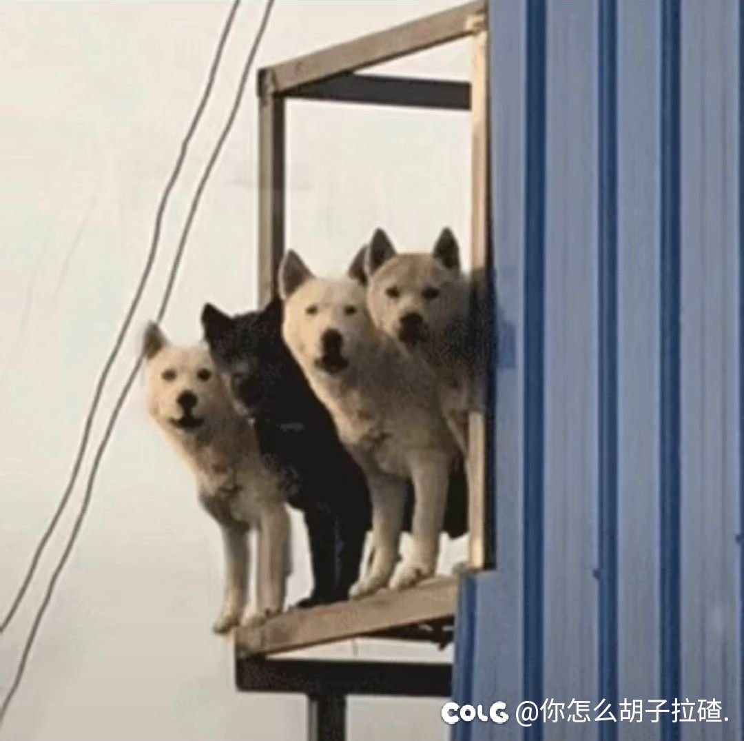 招募3