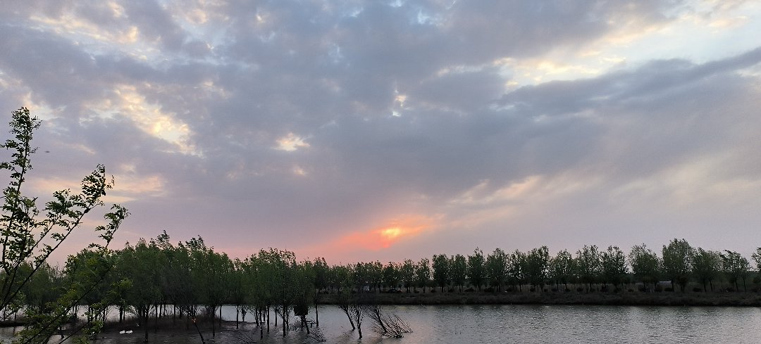 和朋友们一起烧烤7