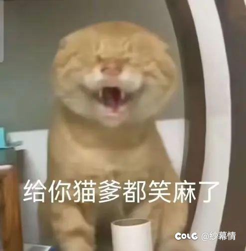 刷了三个月深渊了1