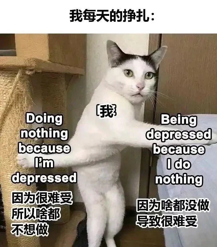 大学时期的一个舍友结婚了1