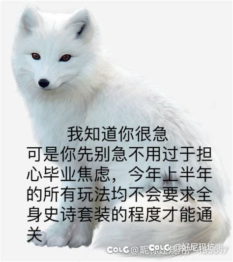 这张图又可以拿出来用一次1