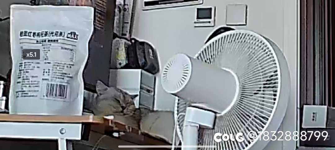 我的猫不让我拉产物1