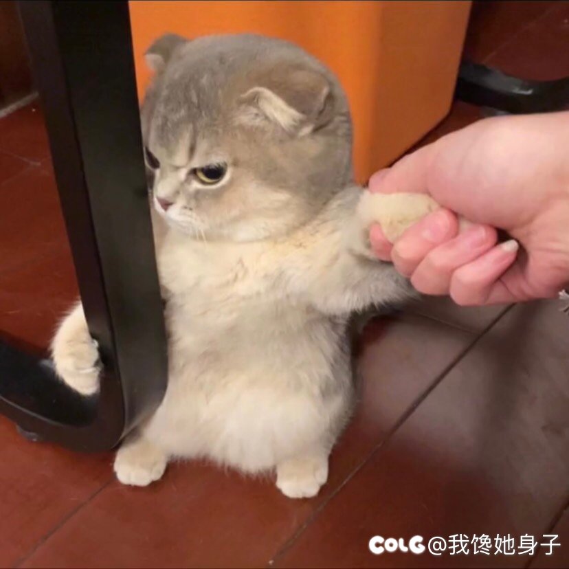 各位好汉们，把你们所有的男圣职者穿搭都拿出来吧！1