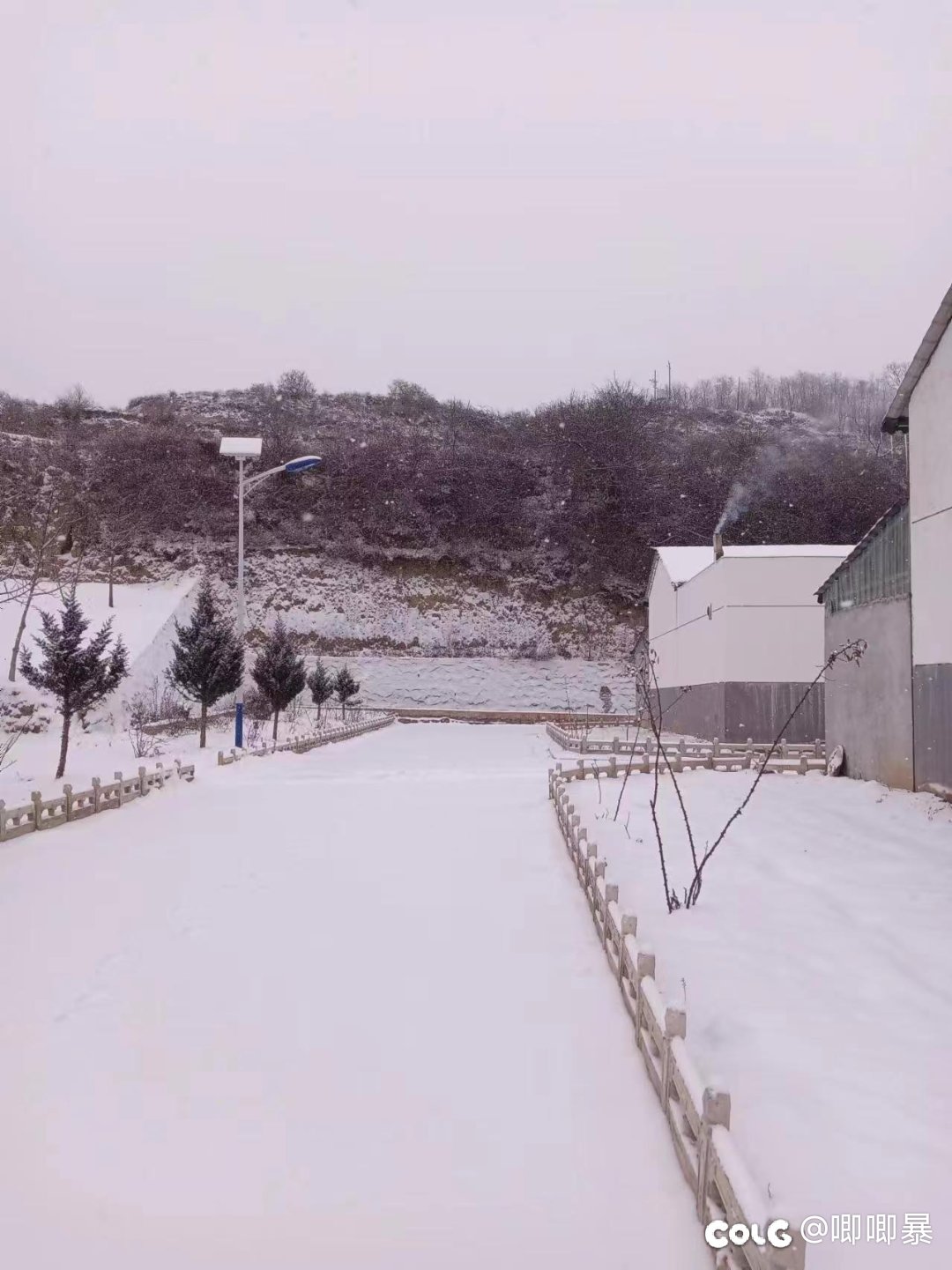 心悦俱乐部组队，骨折在家基本全勤1