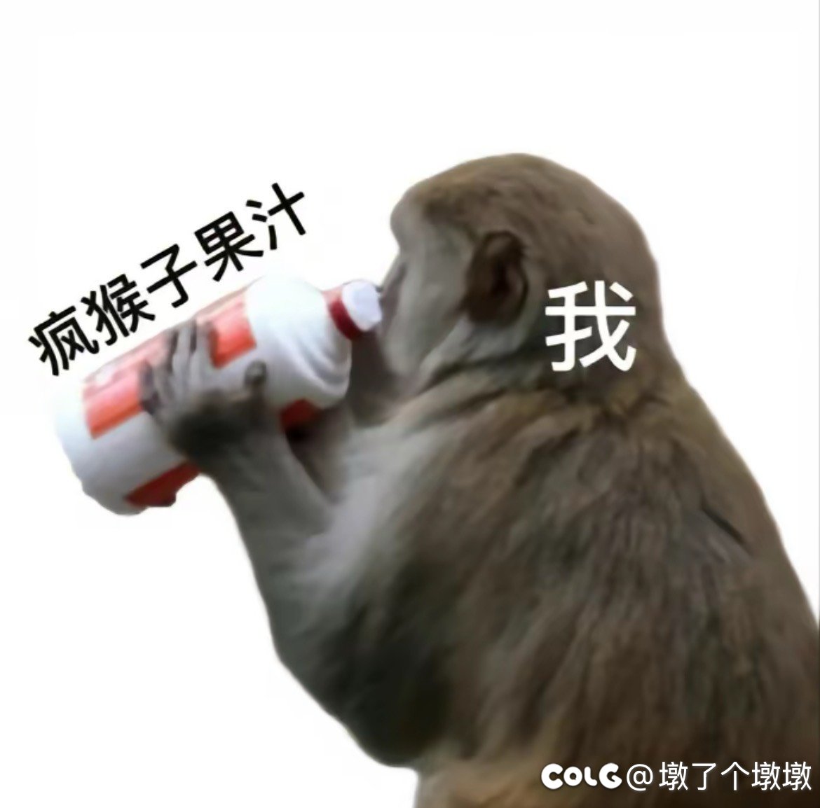 那个犬夜叉宠物自选礼盒能在商店兑换别的东西吗1