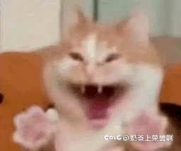 明天1000启动资金能留下啥？1