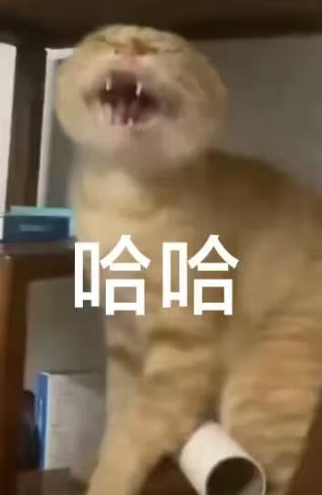 联动一下热帖混学之谁没有个大号4