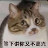 后续夏日礼包会把纹章取消？加入其它特色吗？1