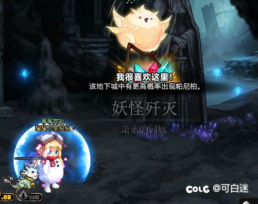 这两天做梦都是帕尼柏1