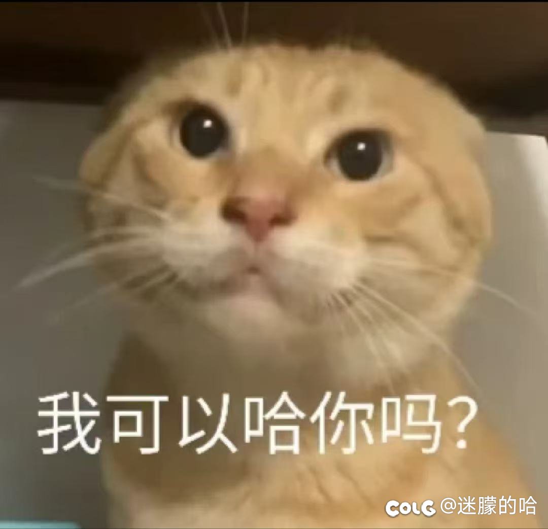 道理我都懂但这个时装上限真不考虑加吗2