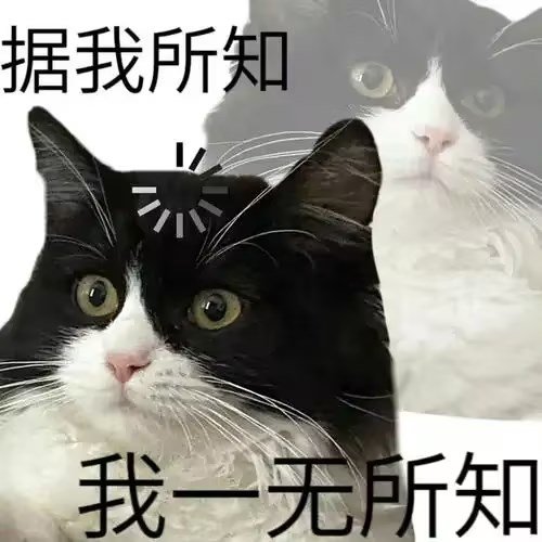 双开刷深渊，爆太初的角色还能转移的？！1
