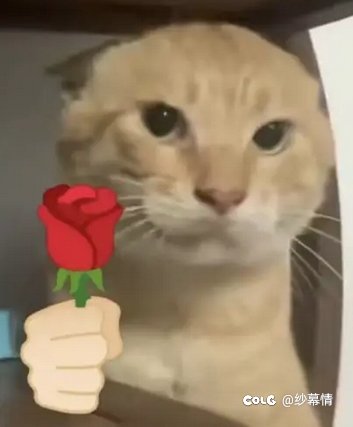 给剑豪哭弱的我真的笑1