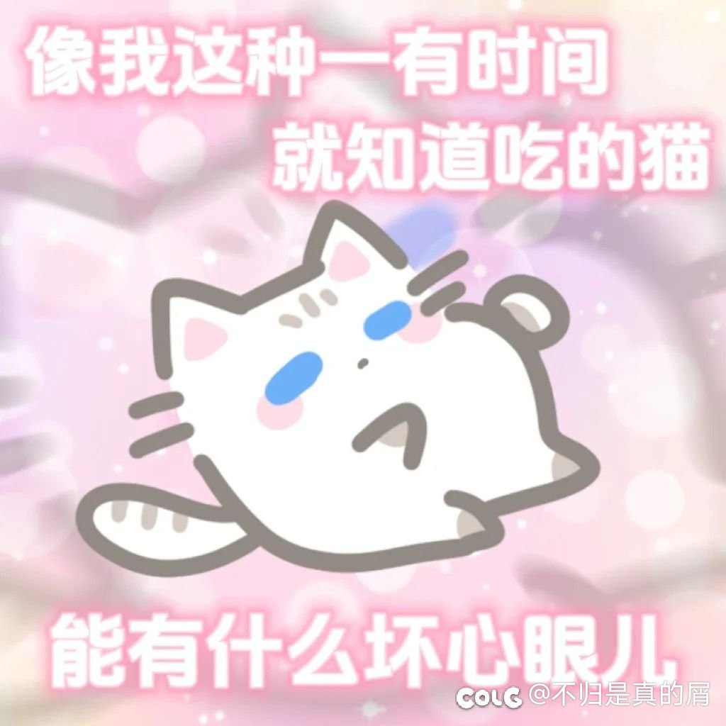 小团队奶枪解决方案（仅供参考）1