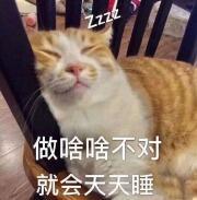 克隆皮肤现在没得改等级吗？1