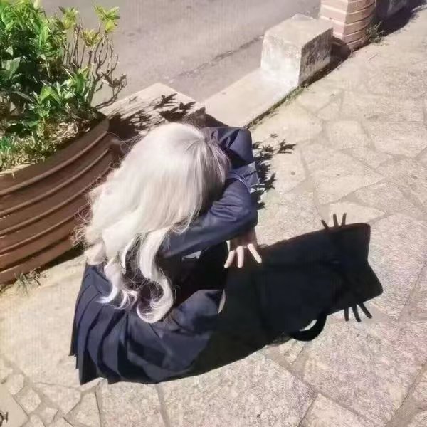 今日份猫猫？1