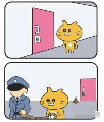 今日份猫猫1
