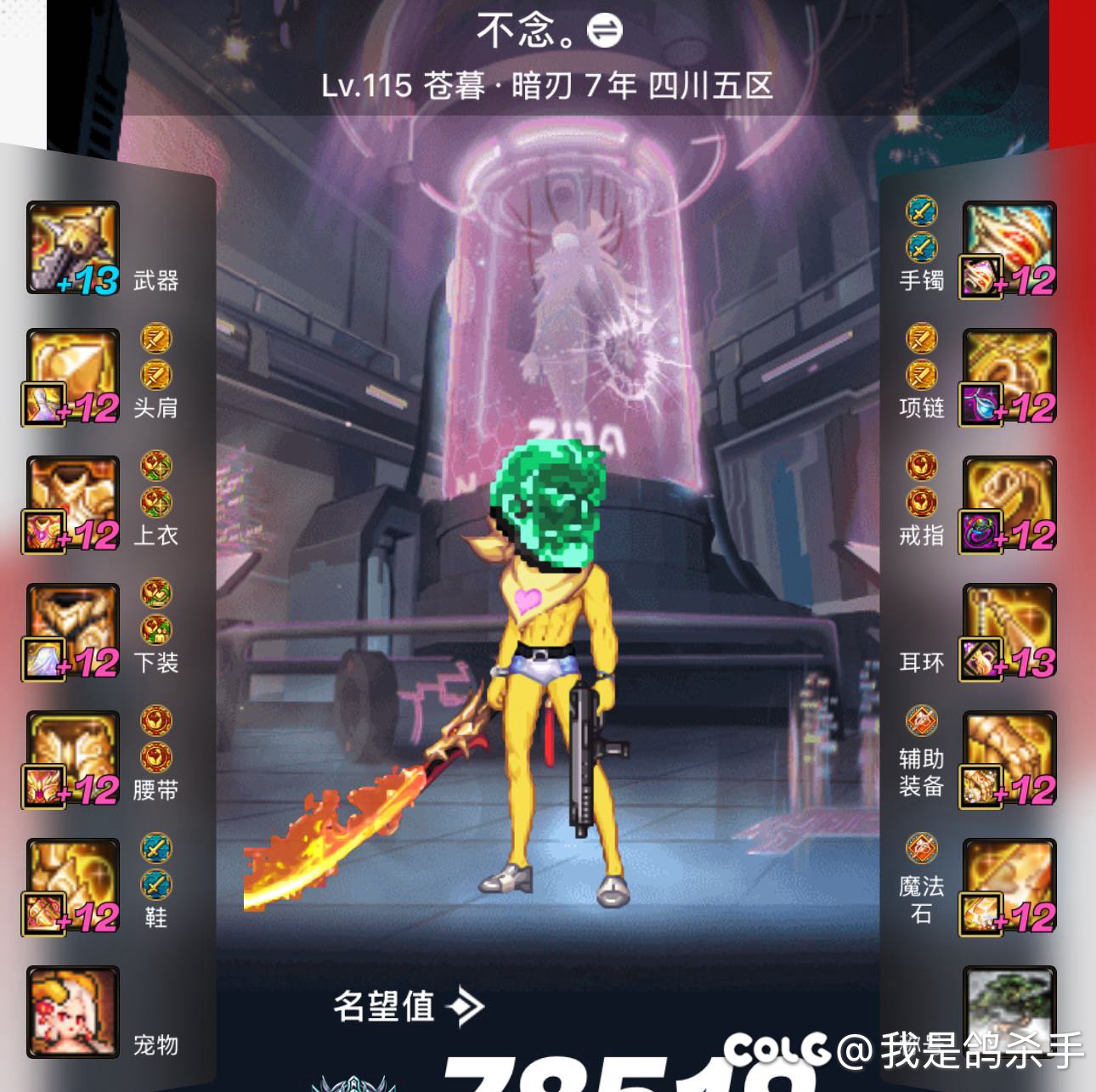 想要一点枪剑搭配啊1
