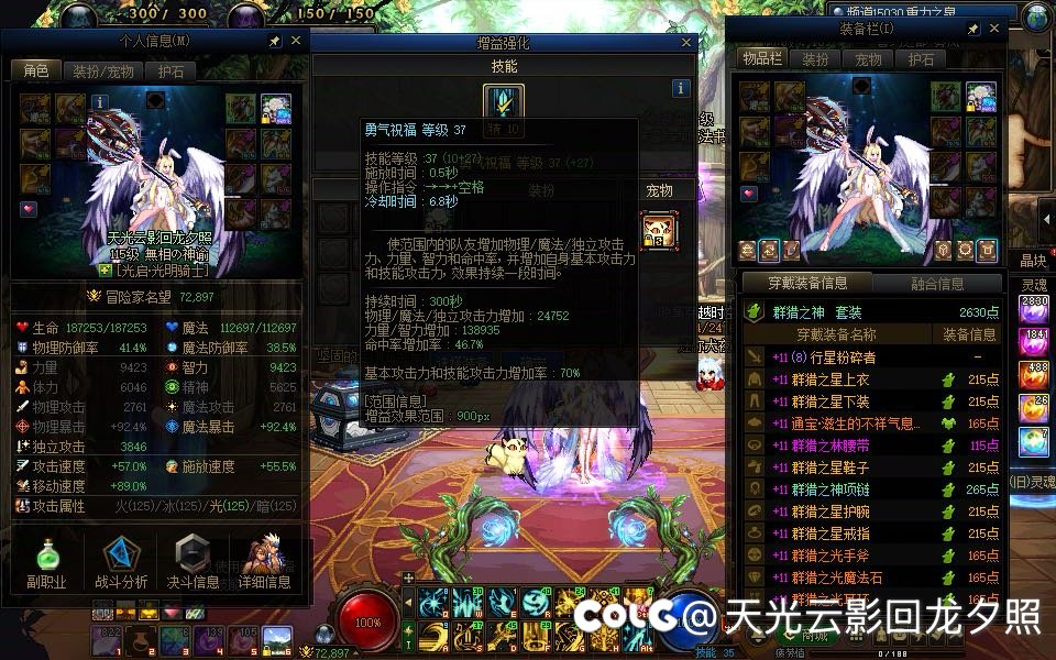 12主号全太初套装了10