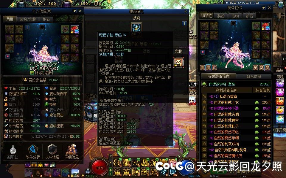 12主号全太初套装了11