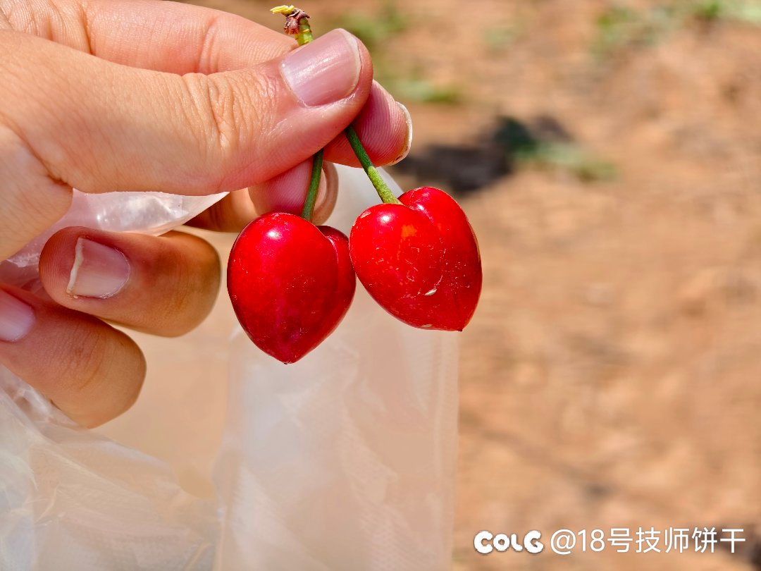 山脚下玩一玩4