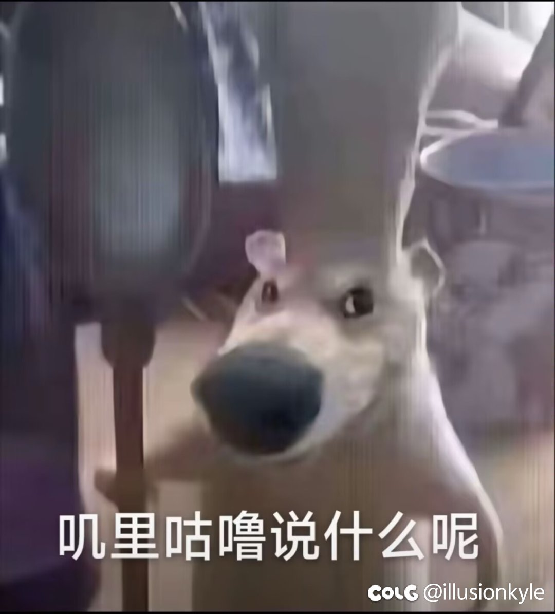 回归了，这还是新版本吗，怎么还是炒冷饭1