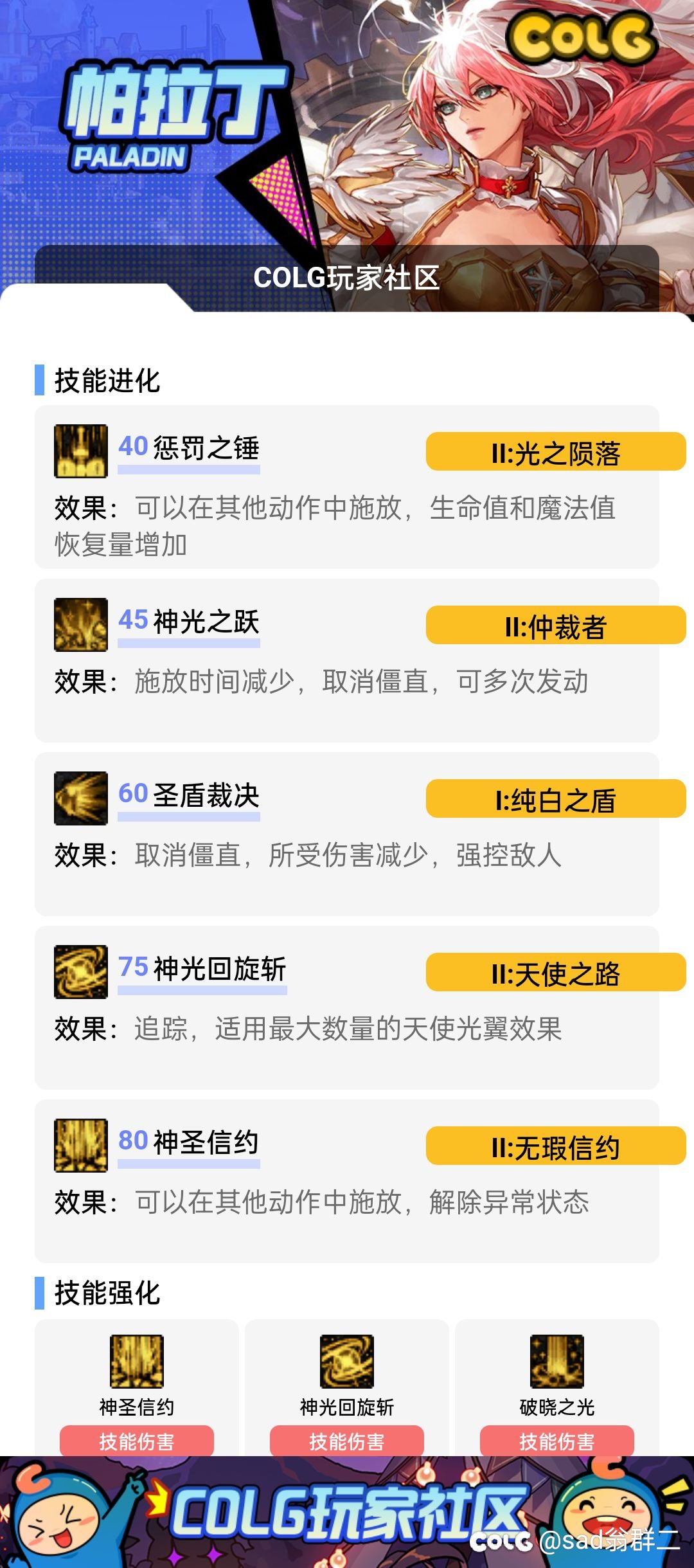 帕拉丁个人vp选择1