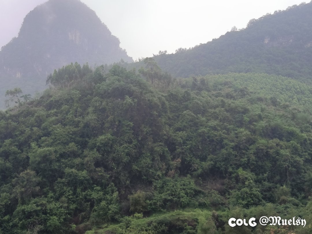看山1