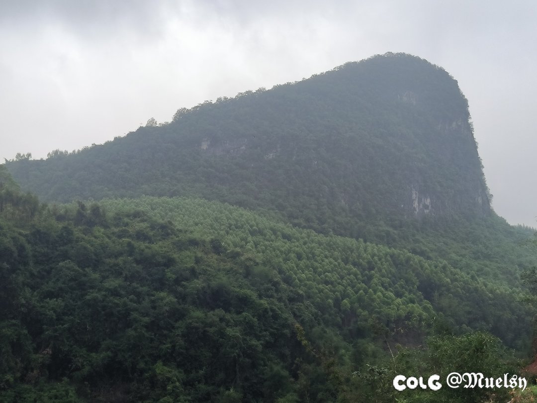 看山2
